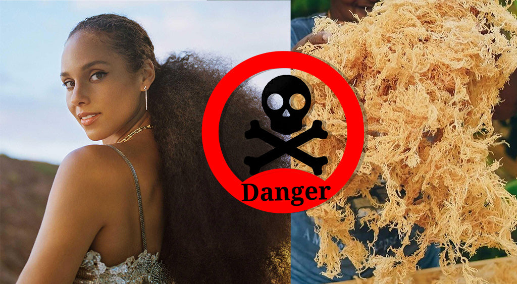 Is Sea Moss Safe? Celebrity Nutritionists Explain Its Benefits for Stars Like Alicia Keys