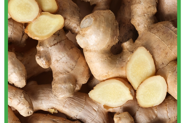 Ginger
