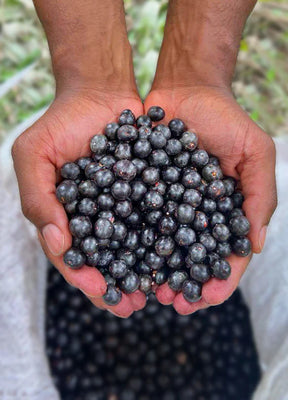 Acai berry