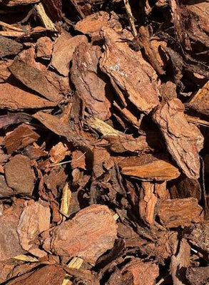 Pine Bark