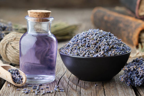Lavender Essential Oil