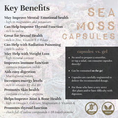 Sea Moss Bladderwrack Burdock Root Capsules St. Lucia Genus