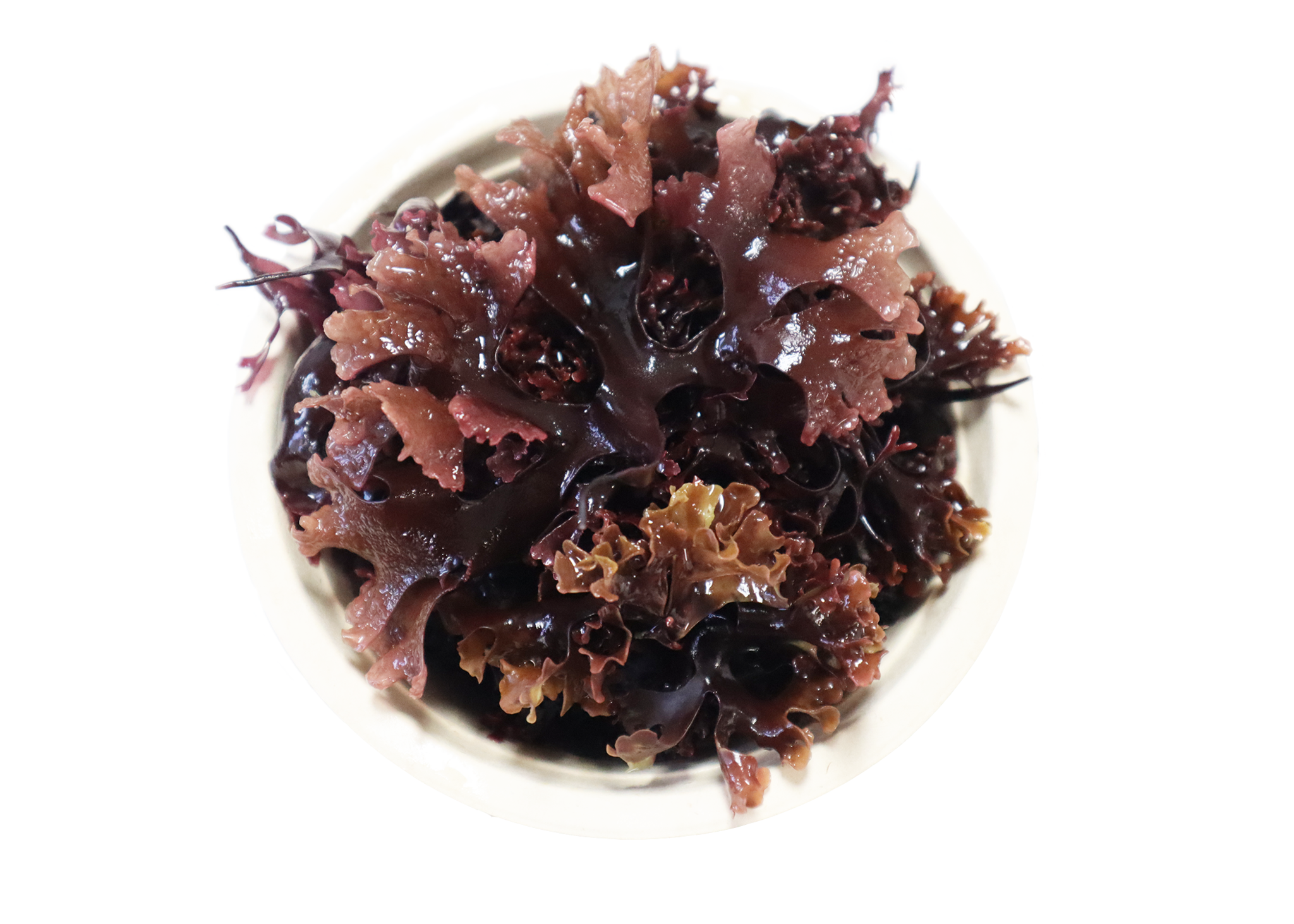 Irish Moss Gel - Ireland